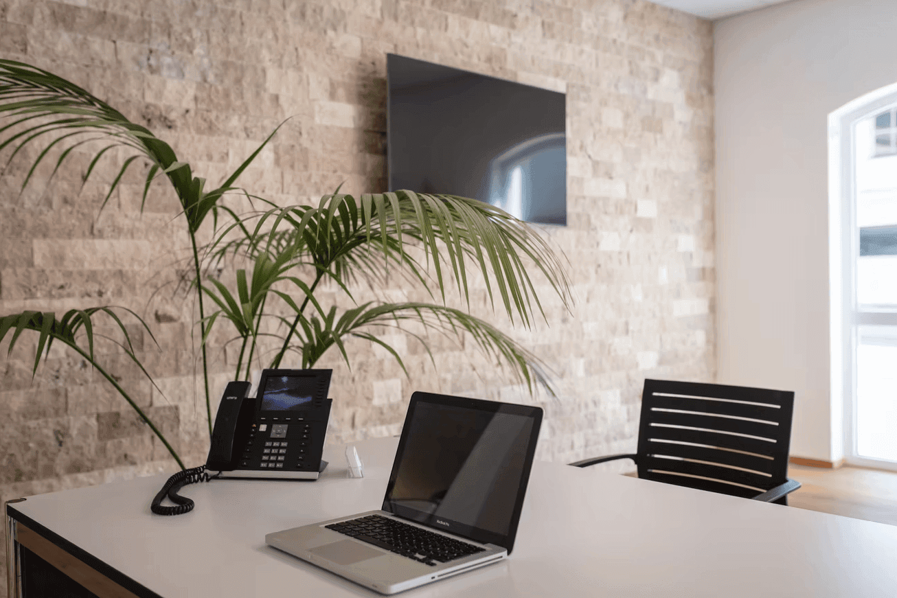 Arbeitsbereich mit Pflanzen und natürlichem Licht